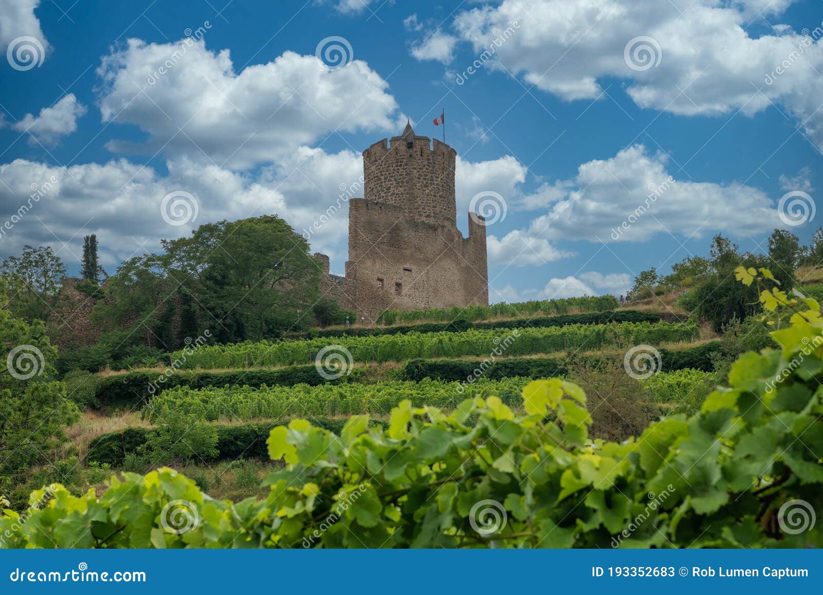 high fortress, kaysersberg with pinos gris vines